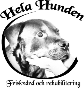 diplomerad hundmassör instruktör mindfulness